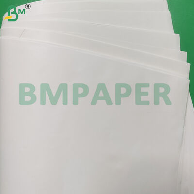 스낵 봉투용 80gsm 식품 안전 PE 코팅 백색 크라프트지 롤