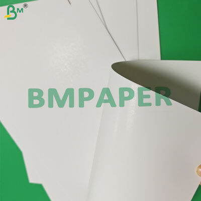제과 포장용 275gsm 325gsm GC2 접이식 상자 보드 760 x 1020mm OBA 프리