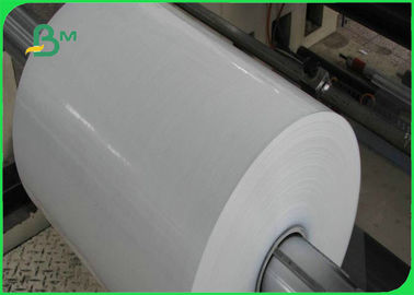 300gm 흰색 PE 코팅 코끼리판 식품 상자 제조 50 * 70cm