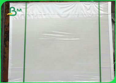 300gm 흰색 PE 코팅 코끼리판 식품 상자 제조 50 * 70cm