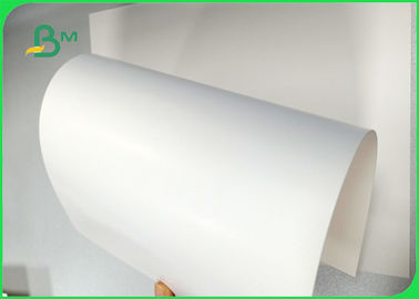 너비 700×1000mm 좋은 부드러움 270gsm 300gsm 350gsm 코끼리판