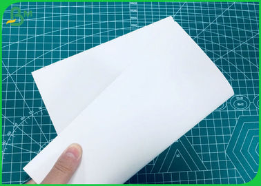 230GSM ~ 400GSM 완전 고체 흰색 코팅 FBB 좋은 딱딱함