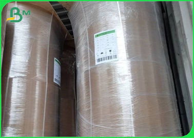 친환경 양배추 Kraft Paper Roll 50GSM - 250GSM
