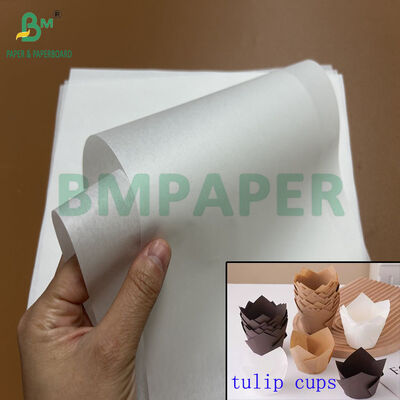 30gm 40gm 식품 안전 튀김에 저항하는 종이는 툴리프 베이킹 컵 1100mm 1200mm 롤