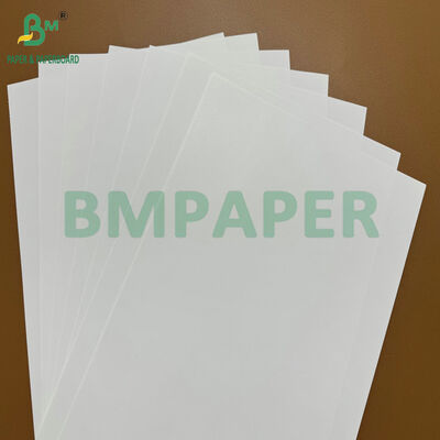 냉각된 음료를 위한 고성능 매트 젖은 마찰 방지 75gsm 80gsm 라벨 용지