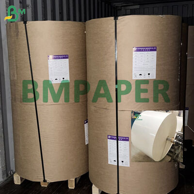 865mm 940mm 식품 등급 흰색 컵스톡 종이 롤 150-320gsm + PE 코팅