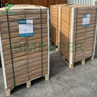 250gm 270gm 단면 PE 코팅 15gm 점심 상자 70 x 100cm
